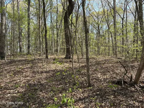 grainger landing LOT 59, Rutledge, TN 37861