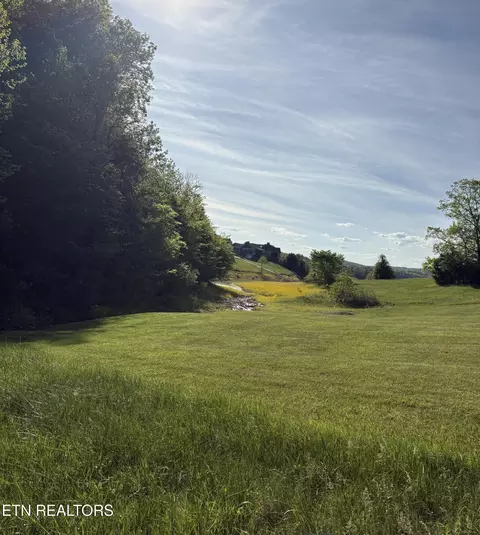 lot485 Russell Brothers Rd, Sharps Chapel, TN 37866