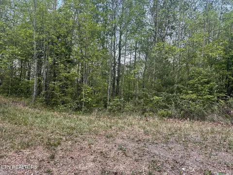 lot41 Black Maple Way, Del Rio, TN 37727