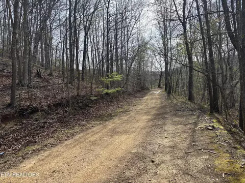 Lawson Rd, Huntsville, TN 37756