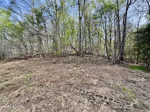 Exterior - 4508 Idumea Rd, Corryton, TN 37721 photo 9 of 10