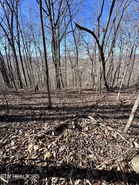 Herron Rd, Caryville, TN 37714