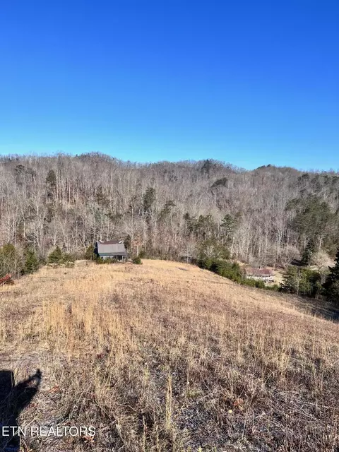1581 Lower Caney Valley Rd, Tazewell, TN 37879
