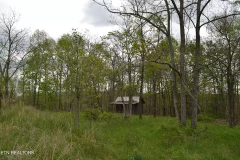 N Of Deer Lodge Hwy, Deer Lodge, TN 37726