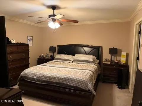 Bedroom - 7715 Applecross Rd, Corryton, TN 37721 photo 2 of 3