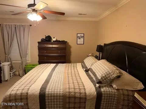 Bedroom - 7715 Applecross Rd, Corryton, TN 37721 photo 3 of 3