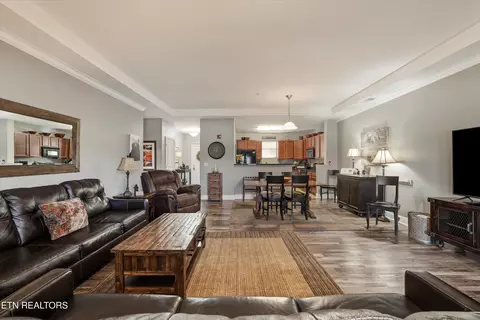 Living - 313 Sandpiper Ln, Bean Station, TN 37708 photo 3 of 4