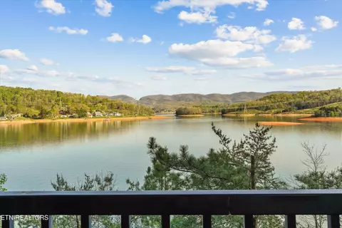 View/Area - 313 Sandpiper Ln, Bean Station, TN 37708 photo 1 of 6