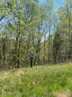 lot548 Marble Point Way, New Tazewell, TN 37825