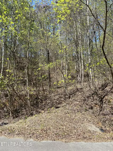 lot549 Garnet Tr, New Tazewell, TN 37825