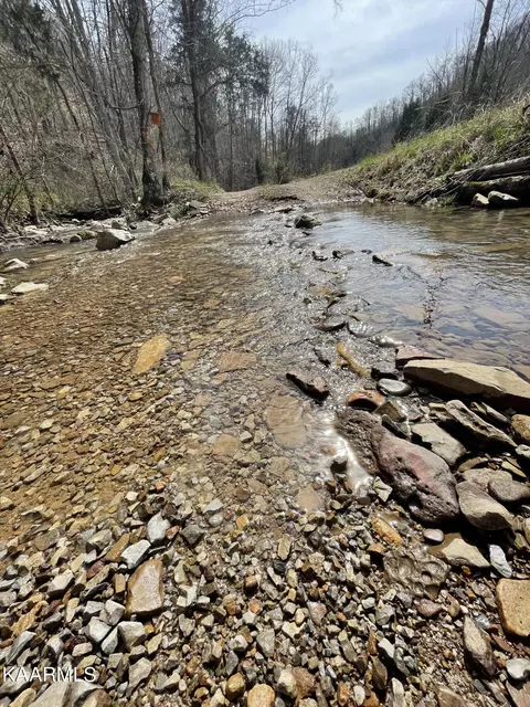 Skaggs Hollow Rd, Tazewell, TN 37879