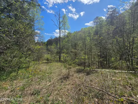 Wineberry Tr, Ewing, VA 24248 photo 7