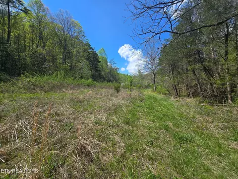 Wineberry Tr, Ewing, VA 24248 photo 6