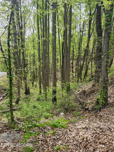 lot1 Hatcher Mtn Rd, Sevierville, TN 37862
