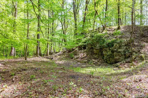 8 Ac -tollgate Rd, Rockwood, TN 37854