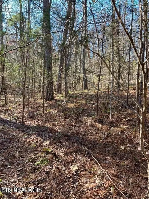 lot157 Laurel Lake Cir, Madisonville, TN 37354