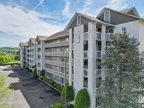 205 Ogle Dr #424, Pigeon Forge, TN 37863