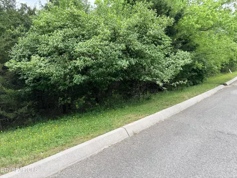 wedge way LOT 206, Tazewell, TN 37879