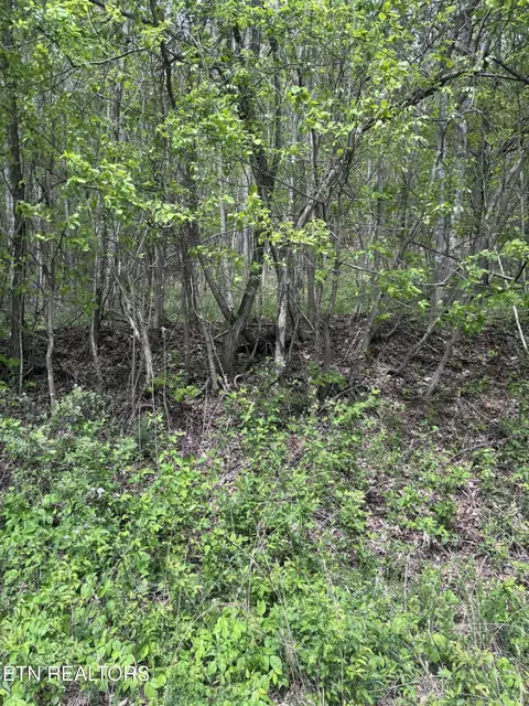 Chimney Rock Rd, New Tazewell, TN 37825