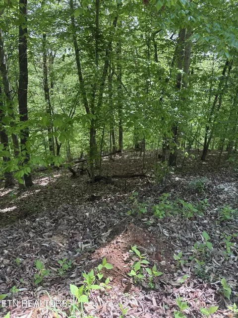 Grandpas Ridge, Sharps Chapel, TN 37866