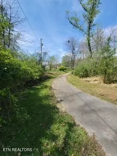 Other - 20084 Alberta St, Oneida, TN 37841 photo 17 of 20