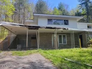 Other - 20084 Alberta St, Oneida, TN 37841 photo 2 of 20
