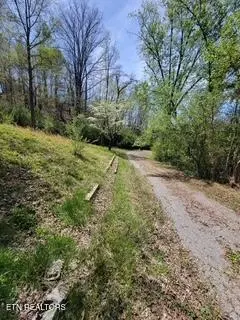 Other - 20084 Alberta St, Oneida, TN 37841 photo 18 of 20