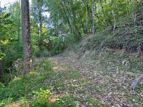 dove view rd LOT 13, Sevierville, TN 37862