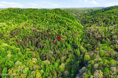 416 Satterfield Rd, Luttrell, TN 37779