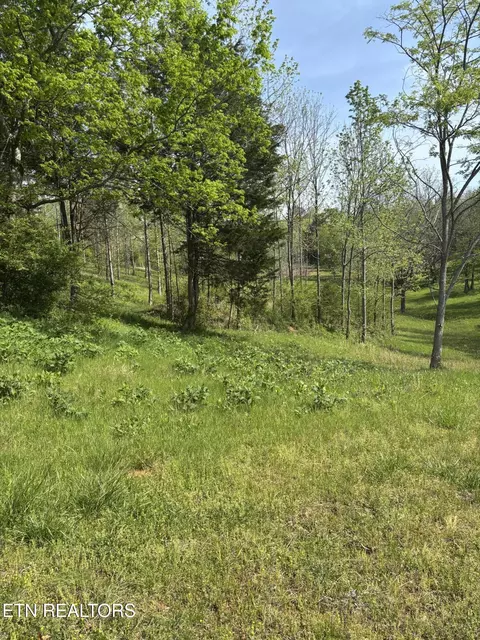 5758 Docks Of The Bay Dr, Rockwood, TN 37854