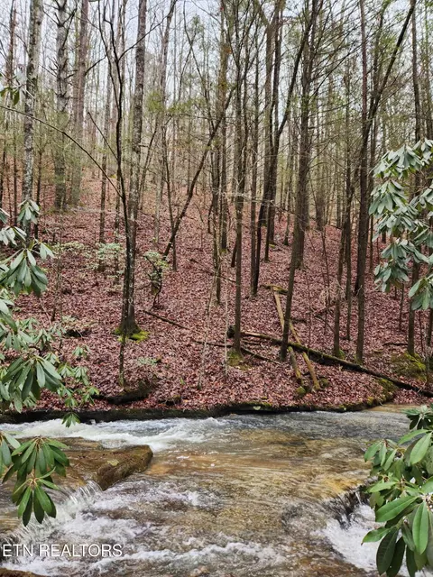 470 Bear Branch Rd, Wartburg, TN 37887