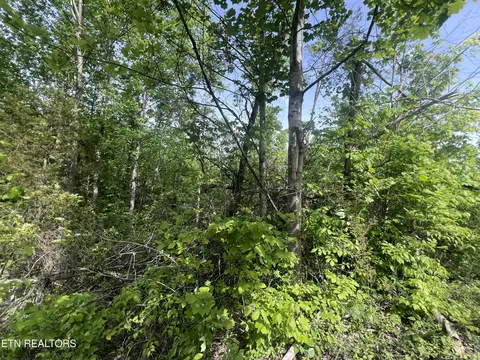 Big Hollow Rd, Monroe, TN 38573
