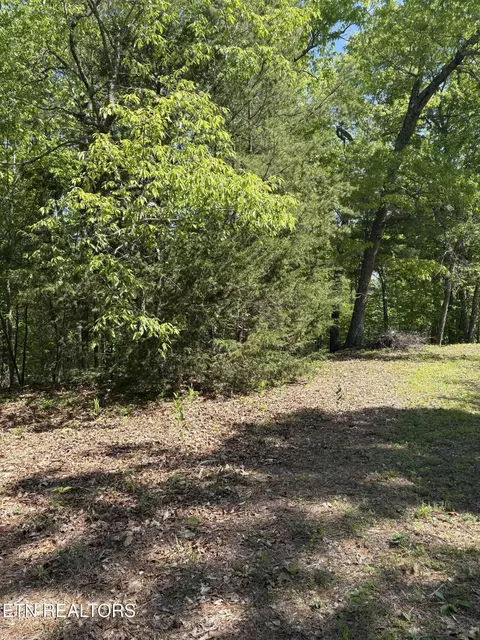 261 Mountain Retreat Rd, Townsend, TN 37882