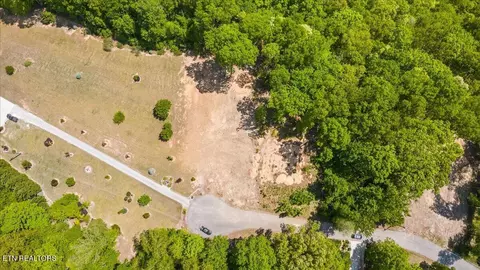 Cheri Lane, Caryville, TN 37714