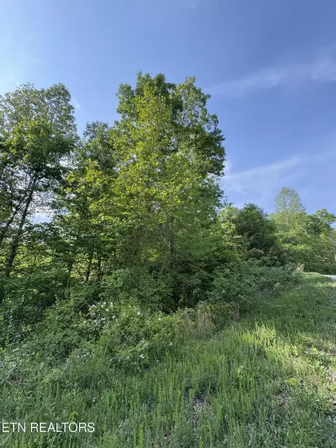 lot29 Saddleridge Dr, Speedwell, TN 37870