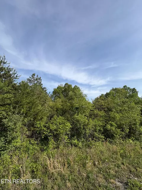 lot60 Saddleridge Dr, Speedwell, TN 37870