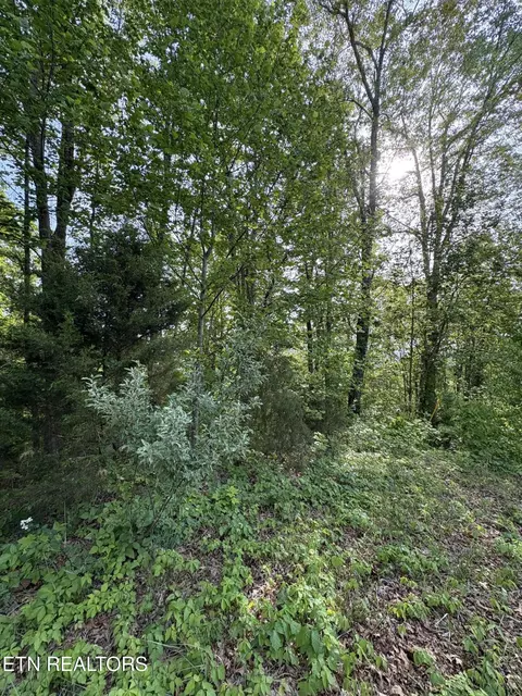 lot169 Saddleridge Dr, Speedwell, TN 37870