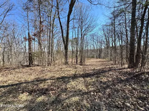 Honey Springs Rd, Crawford, TN 38554