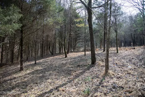0 Tulip Ln, Cookeville, TN 38501