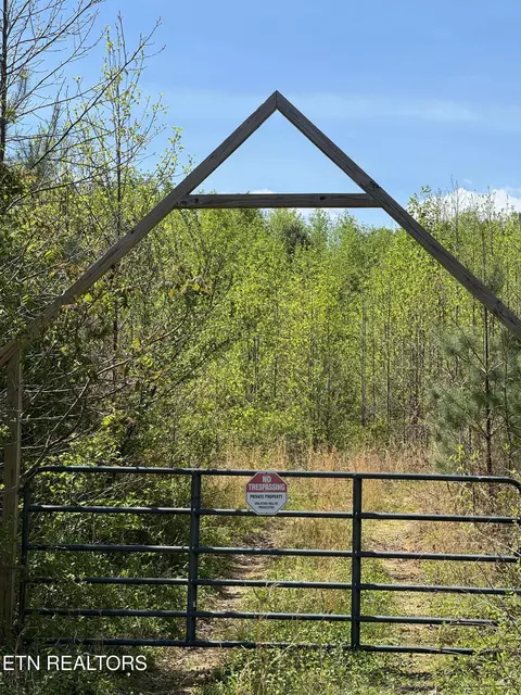 Coon Hollow Rd, Sunbright, TN 37872