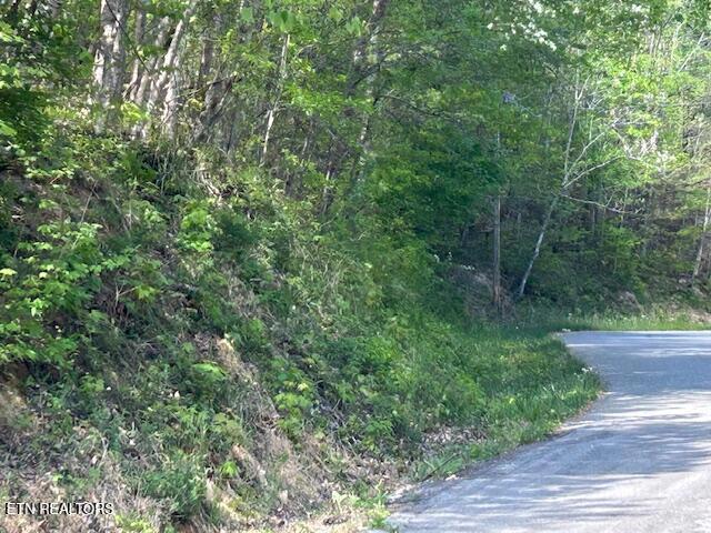 lot537 Whistle Valley Rd, New Tazewell, TN 37825