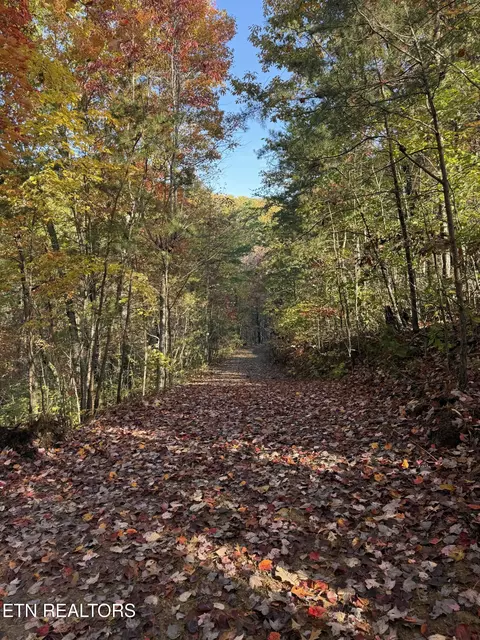 425 Smokey Rd, Rutledge, TN 37861