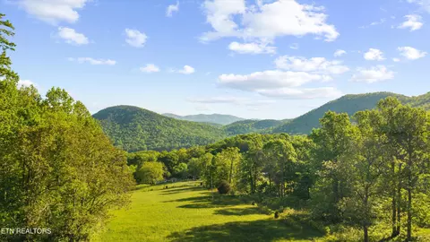 172 Pam Ln, Townsend, TN 37882