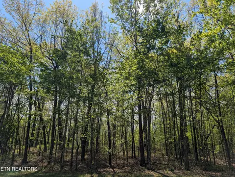 Cumberland Lakes Drive, Monterey, TN 38574