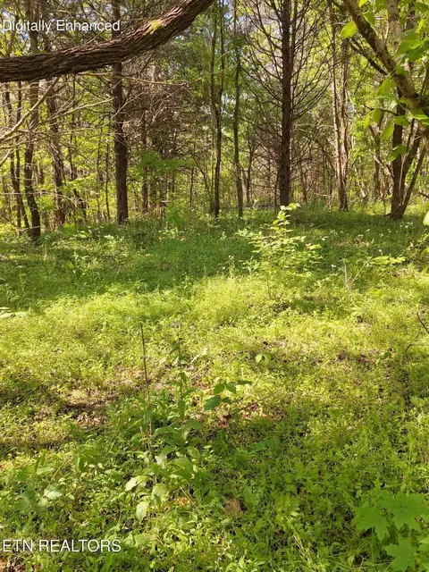 Payne Rd, Tellico Plains, TN 37385