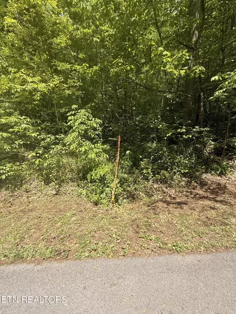 4045 Suttons Rd, Sevierville, TN 37876
