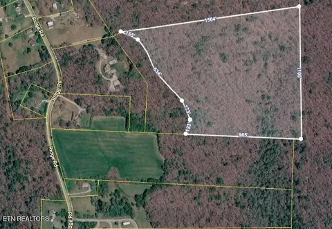 391 Ridge Rd, Lancing, TN 37770 photo 2