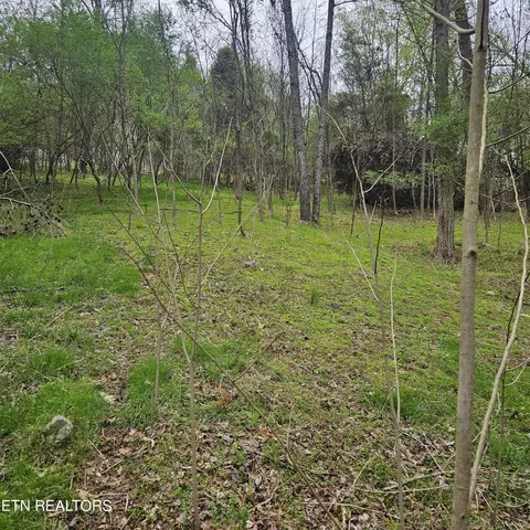1919 Chelaque Way, Mooresburg, TN 37811