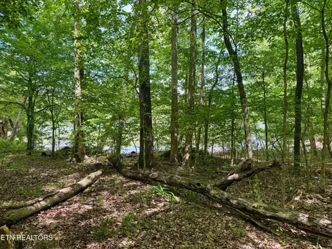 lot2 Eagle Ridge Rd, Kingston, TN 37763