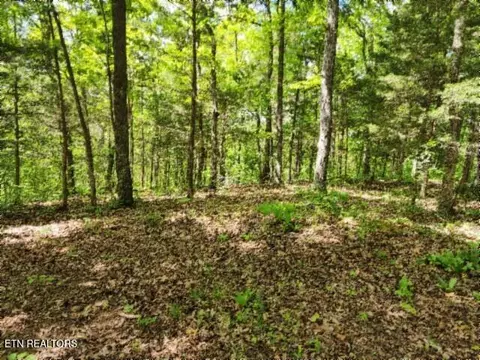 10 13ac Forest Trails Ln, Celina, TN 38551